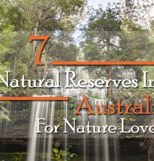 7 Natural Reserves In Australia For Nature Lovers