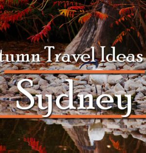 Autumn Travel Ideas For Sydney