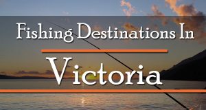Fishing Destinations In Victoria