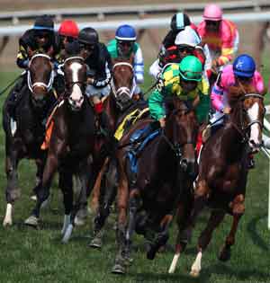 What Can You Expect From The Doomben Races?