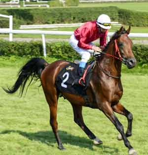 What You Should Know About Eagle Farm Race Meets