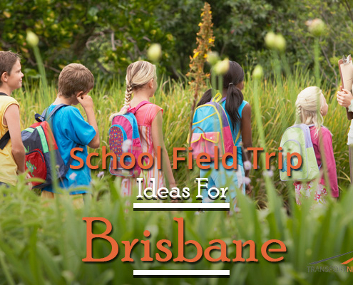School Field Trip Ideas For Brisbane