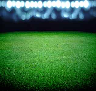 7 Things To Look Out For In Your Canberra Stadium Tour