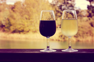 Tour Wine Country in Sydney